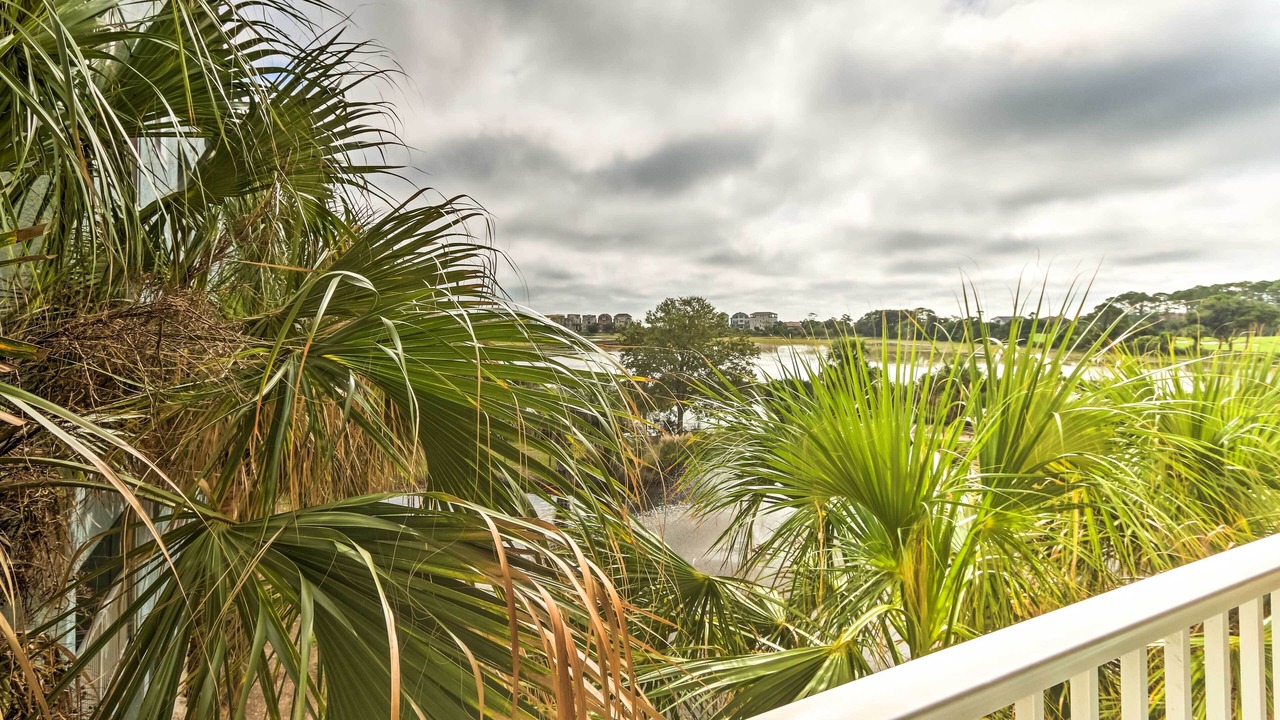 Photo of Others in Palmetto Dunes