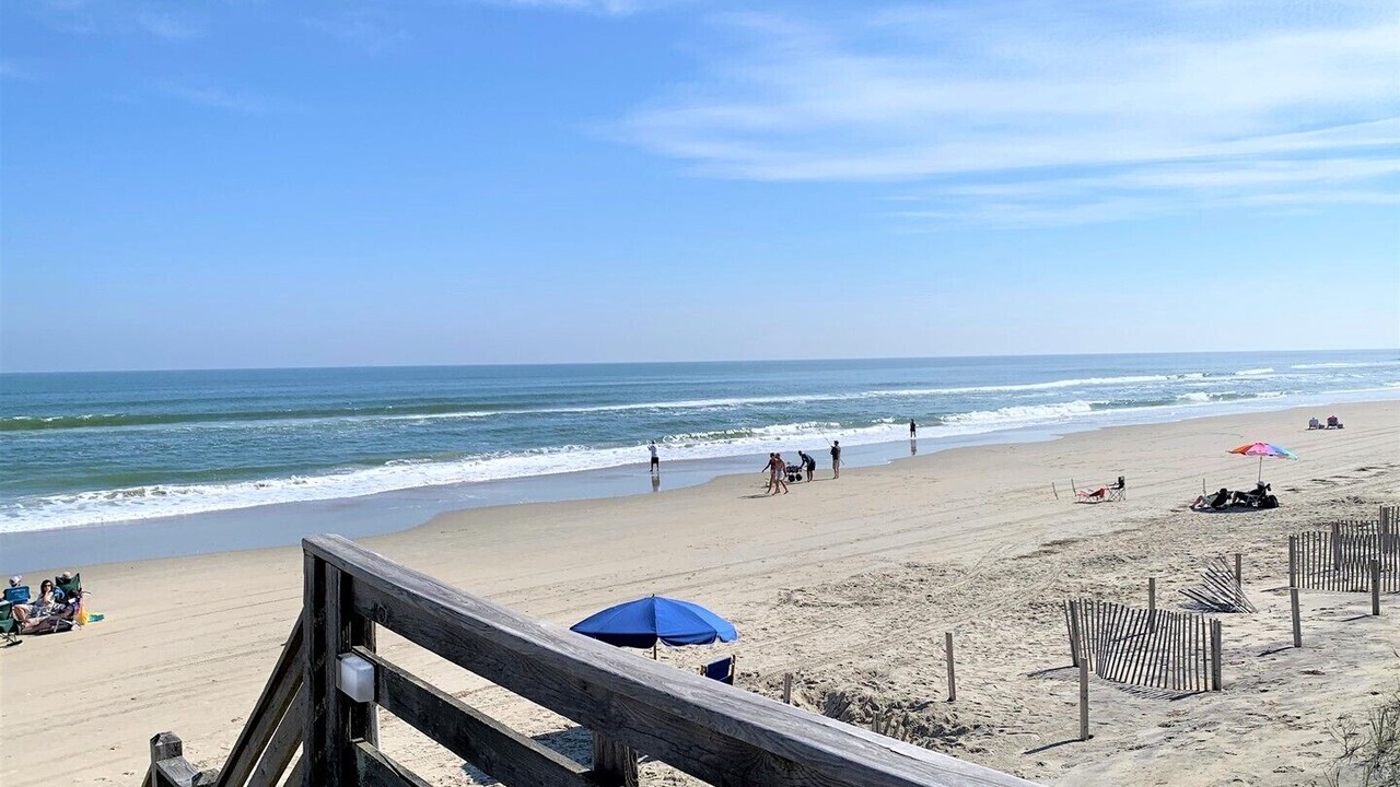 Photo of Others in Corolla Light