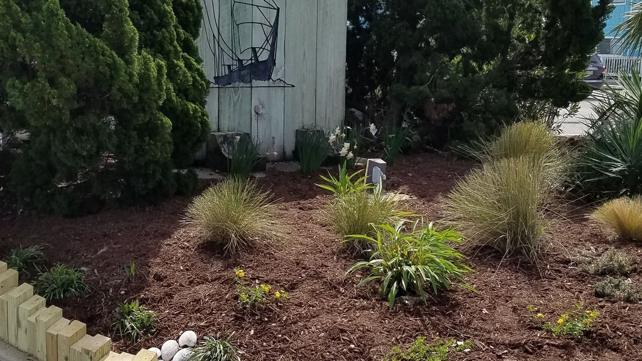 Photo of Outdoor in Kure Beach