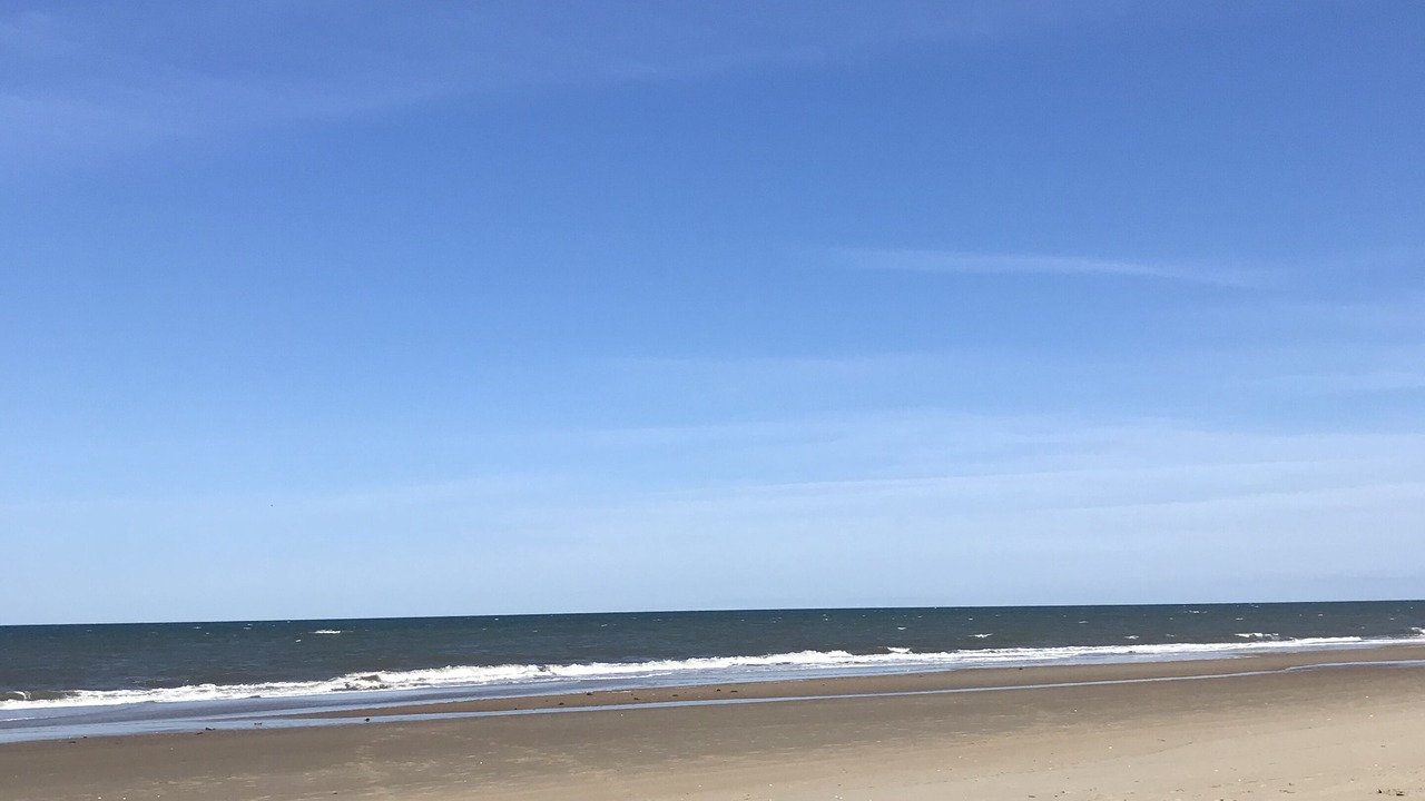 Photo of Others in Carolina Dunes