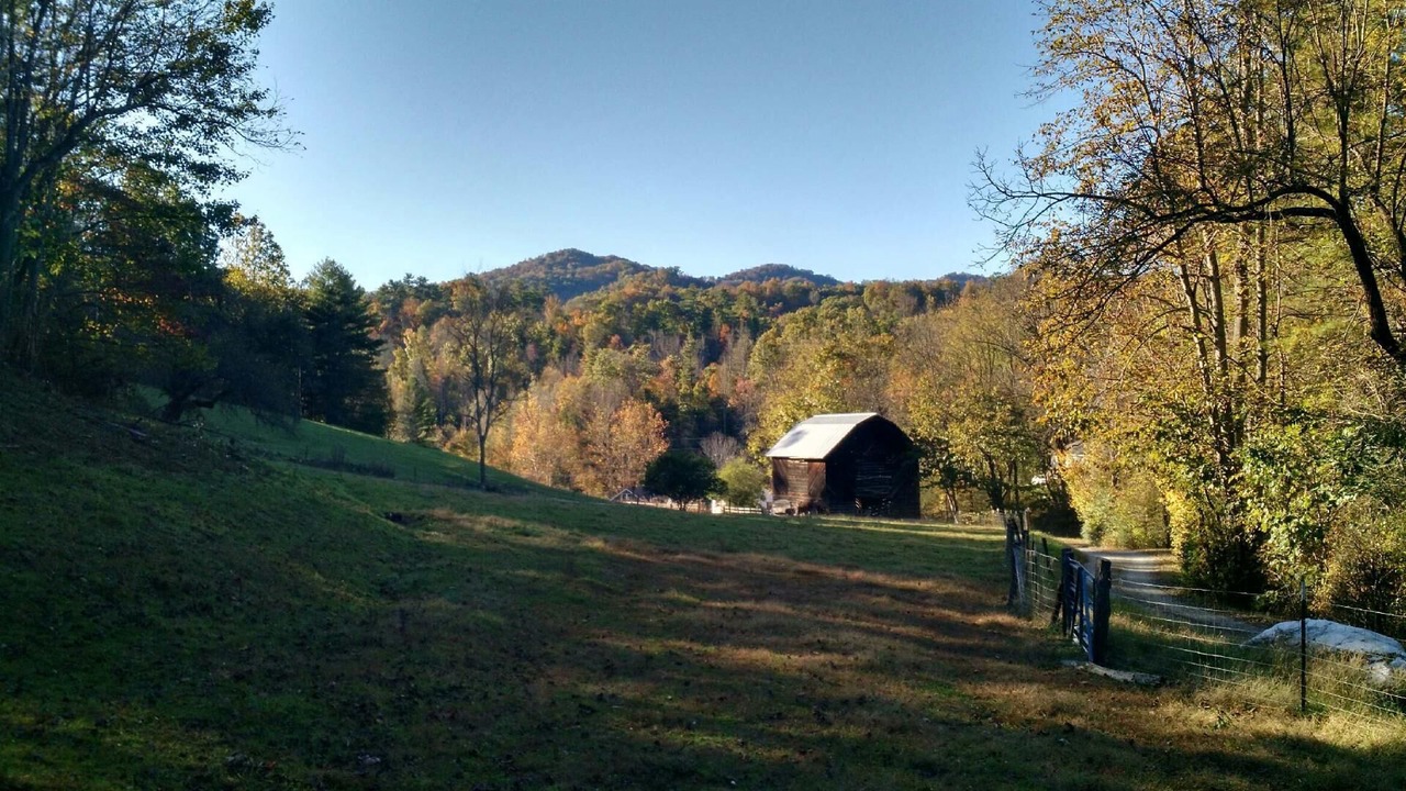 Photo of Outdoor in Mars Hill