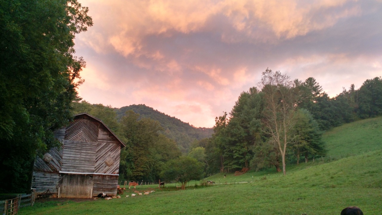 Photo of Outdoor in Mars Hill