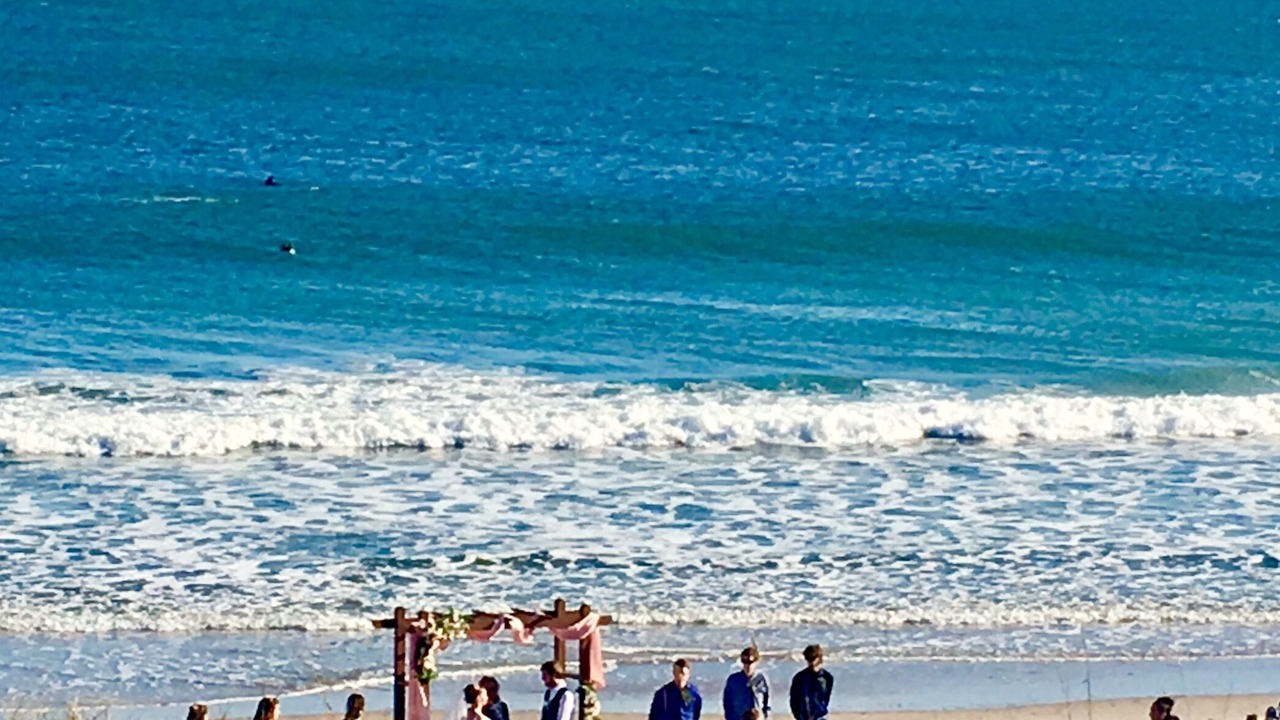 Photo of Others in Surf City