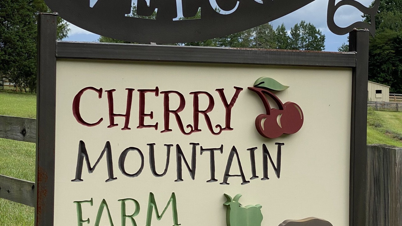 Photo of Others in Vein Mountain