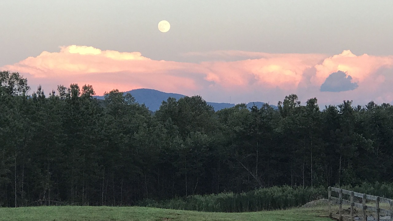 Photo of Others in Vein Mountain