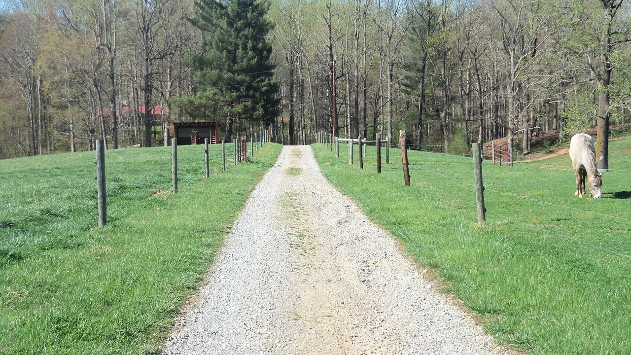 Photo of Others in Elkin