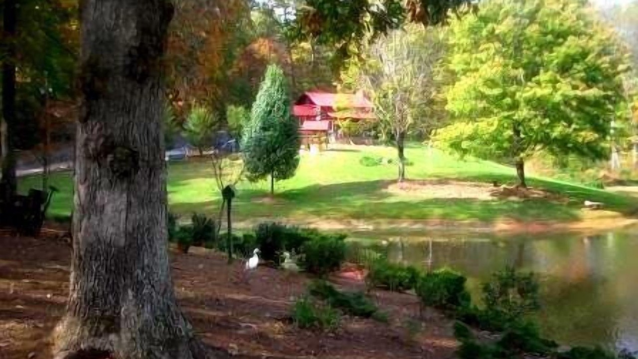 Photo of Others in Elkin
