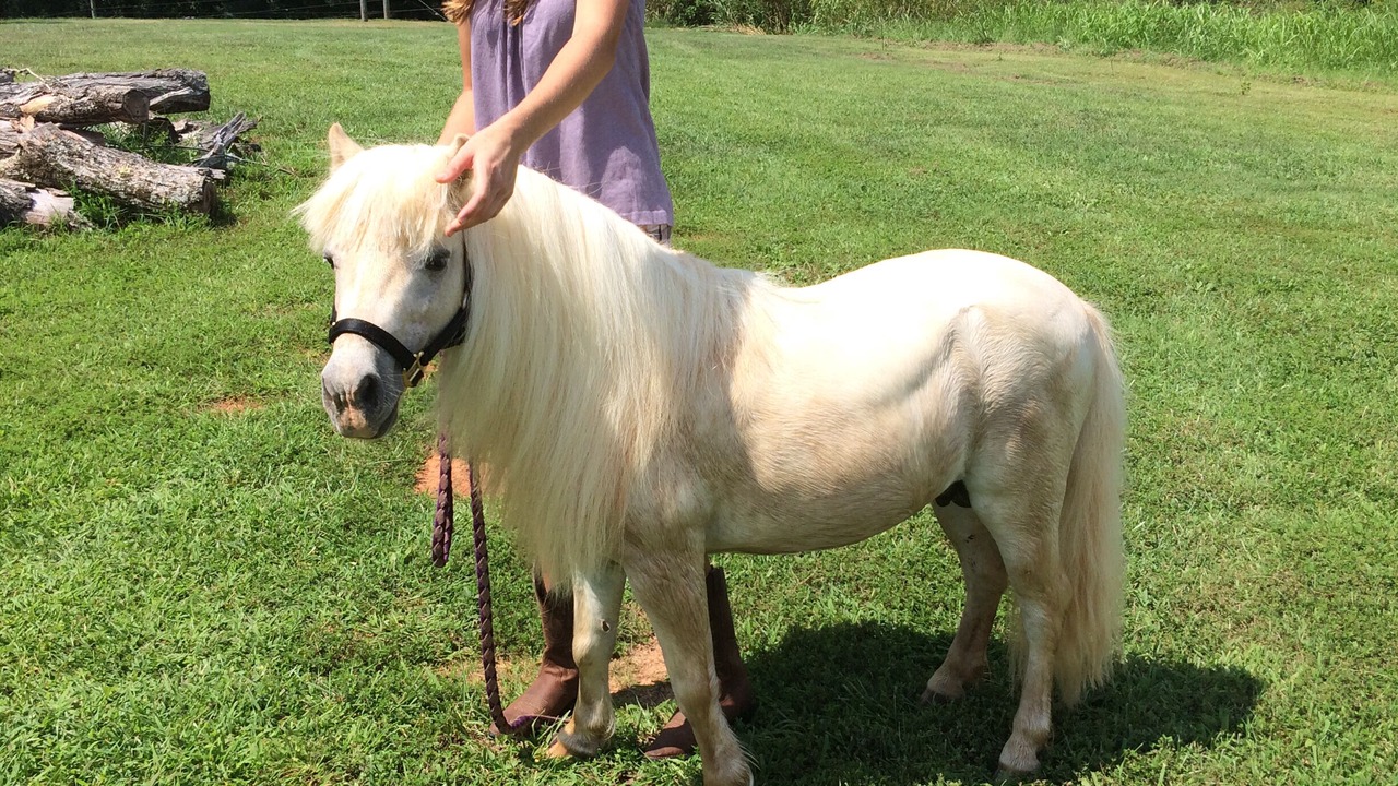 Photo of Others in Elkin
