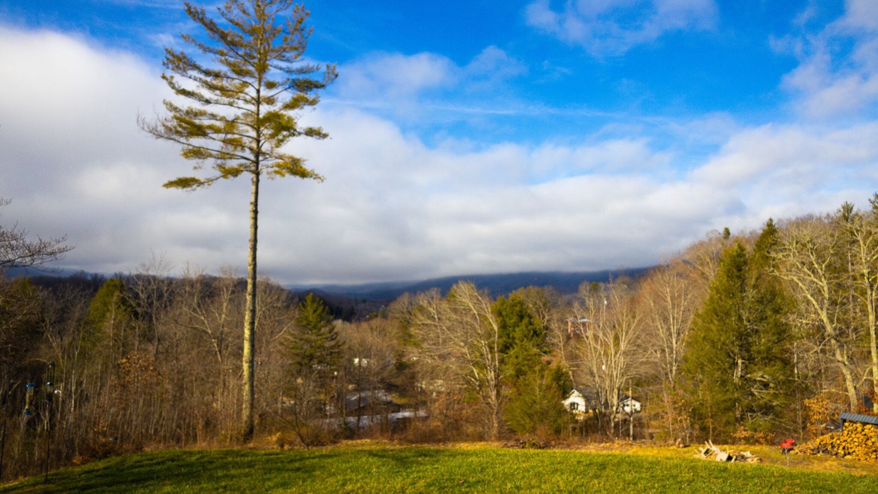 Photo of Others in Waynesville