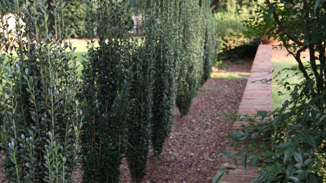 Photo of Outdoor in Southern Pines