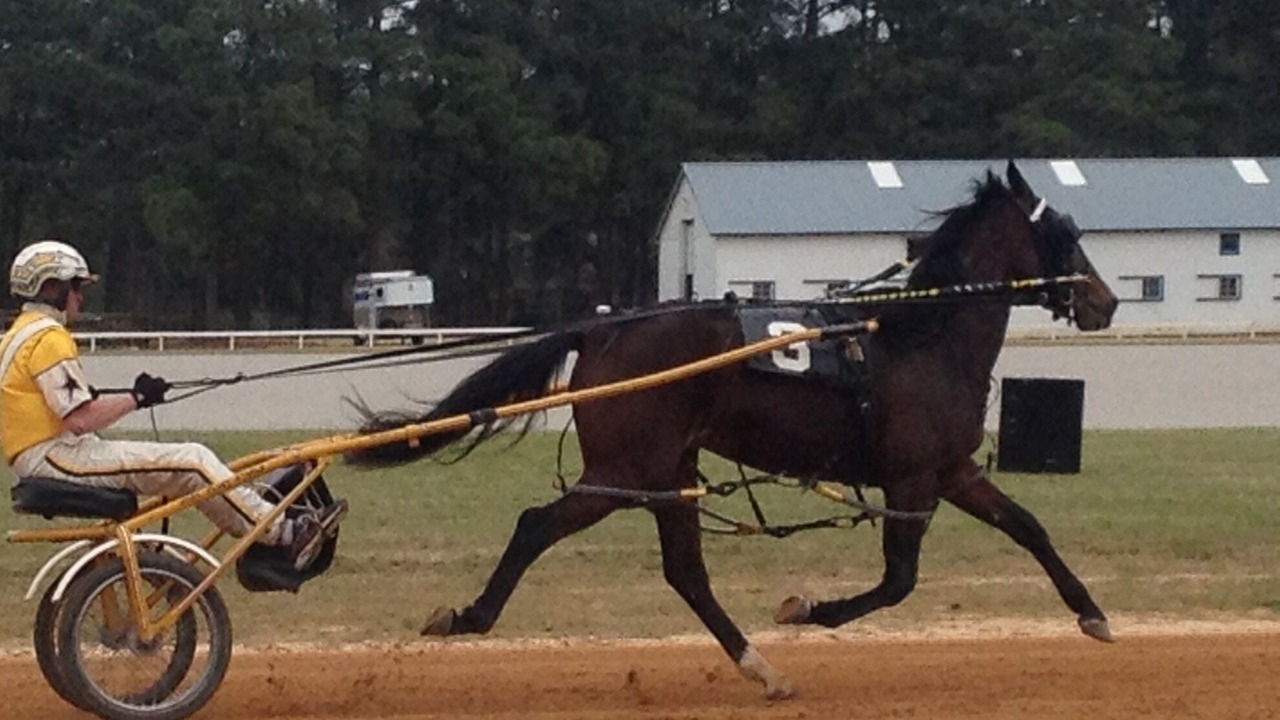 Photo of Others in Southern Pines
