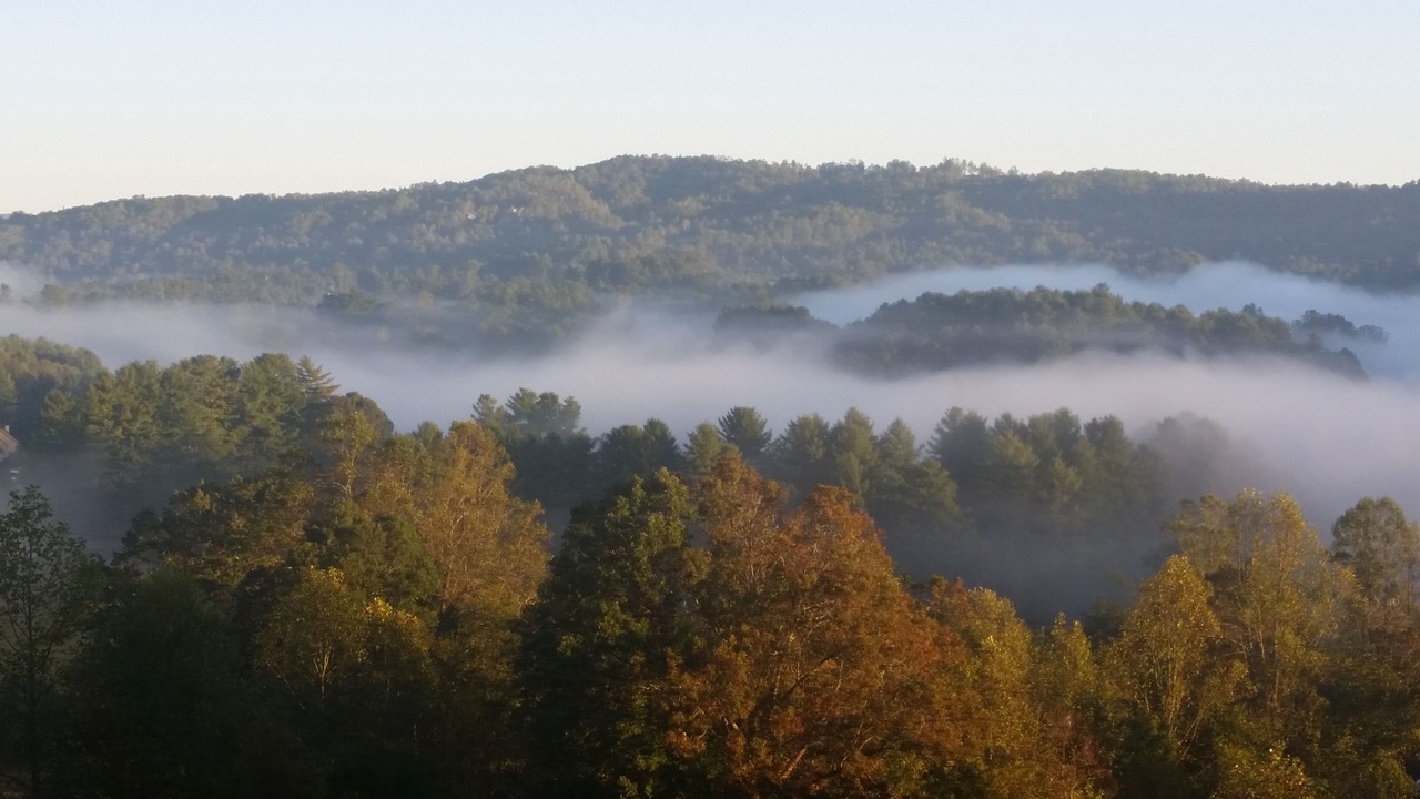 Photo of Outdoor in Hendersonville