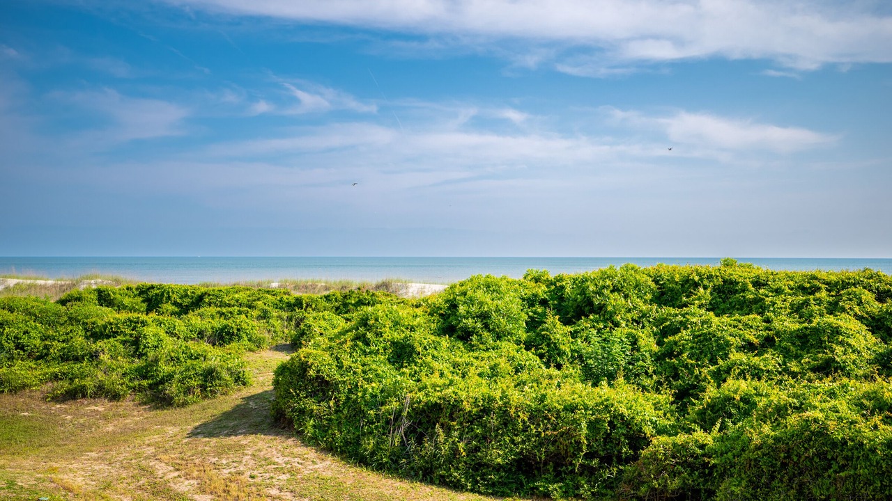 Photo of Outdoor in Caswell Beach