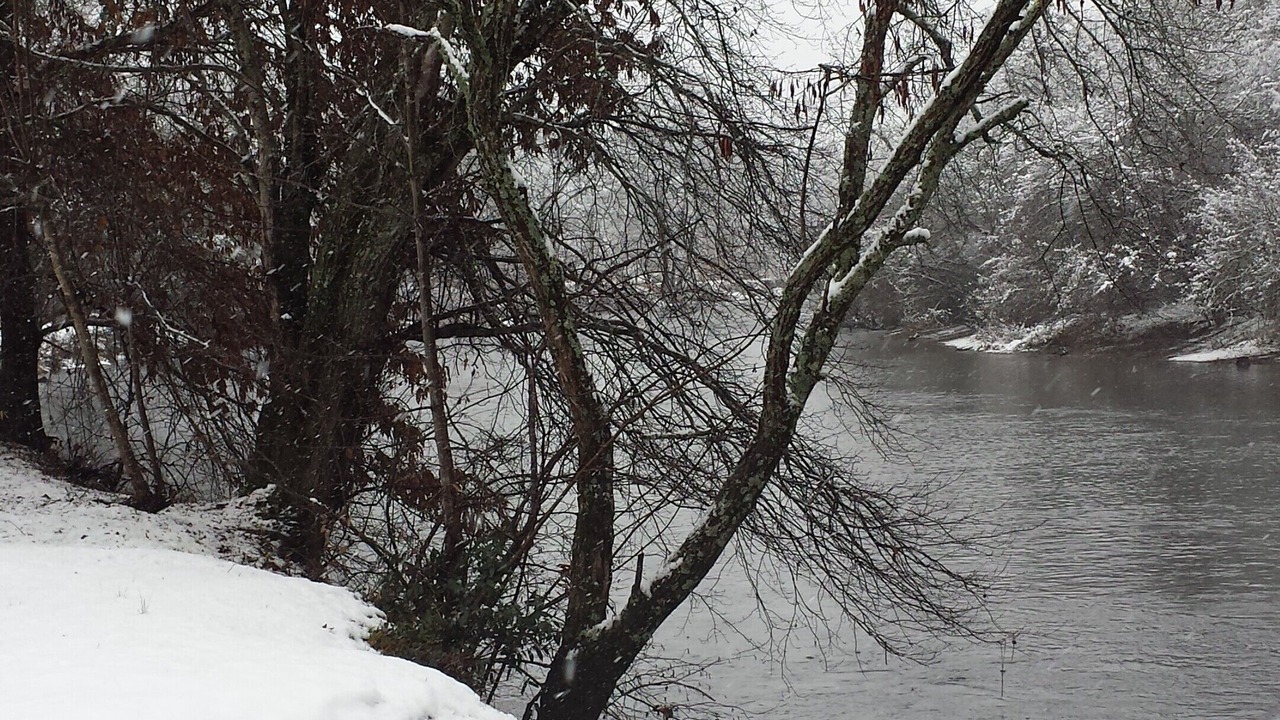 Photo of Others in Franklin