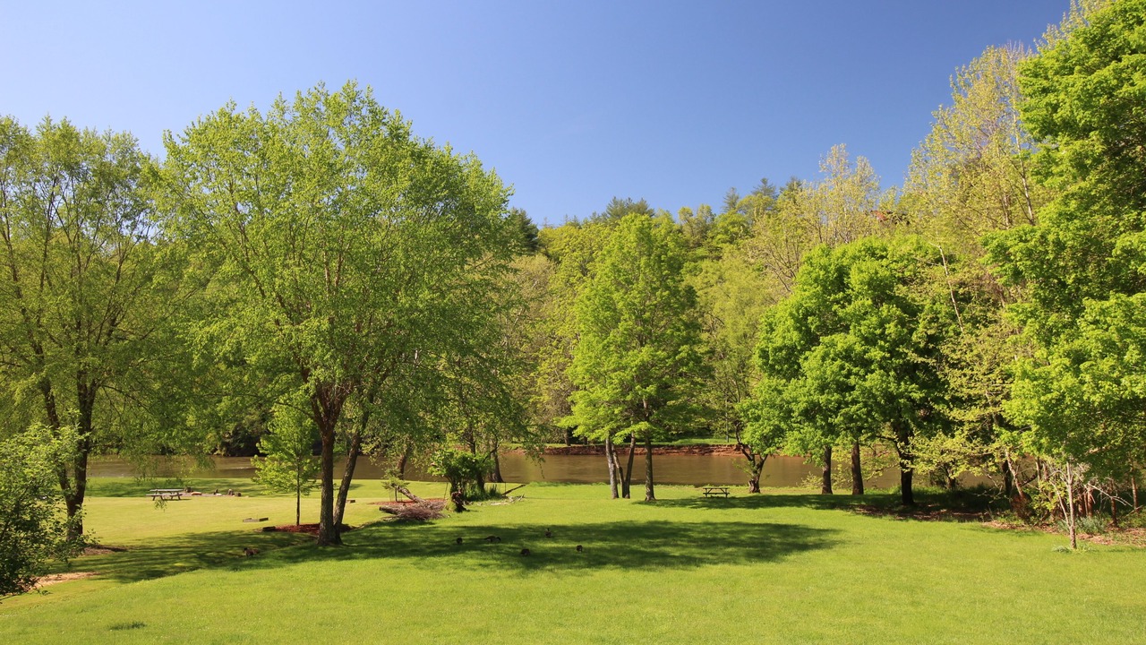 Photo of Others in Grassy Creek