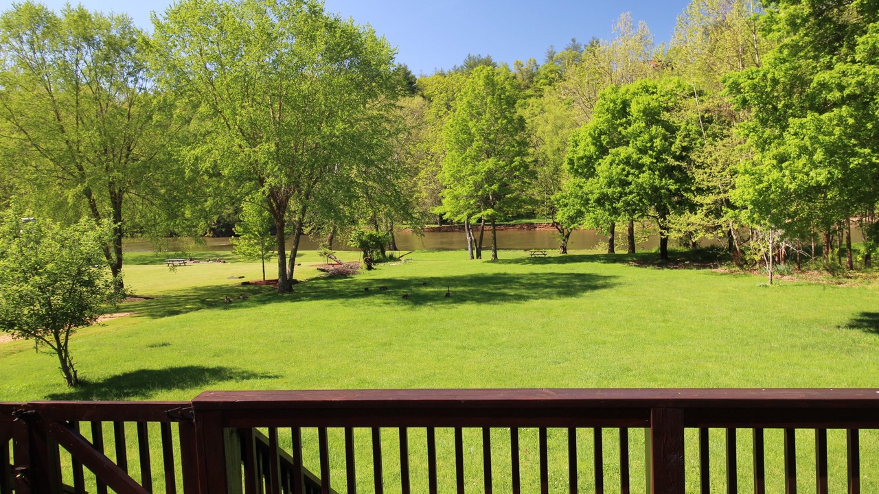 Photo of Outdoor in Grassy Creek