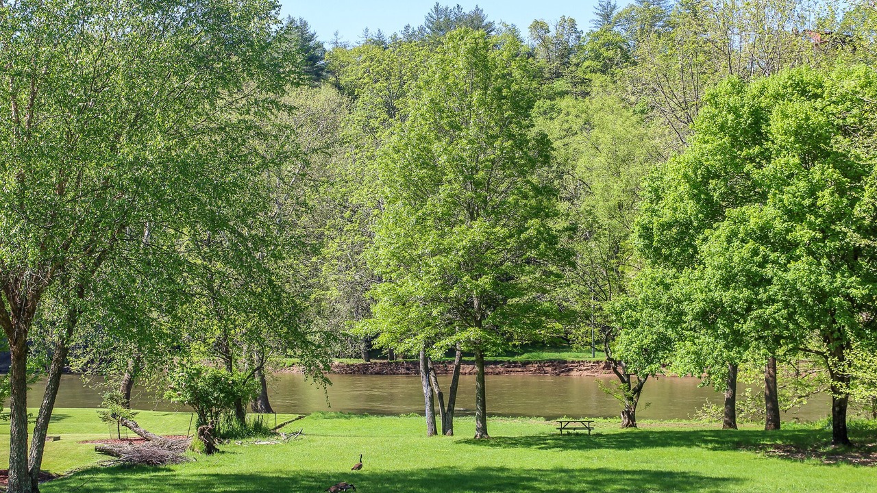 Photo of Others in Grassy Creek