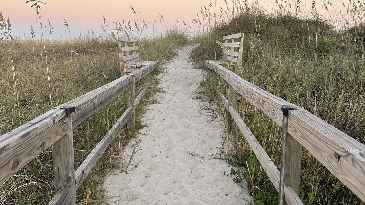 Photo of Others in North Carolina Coast