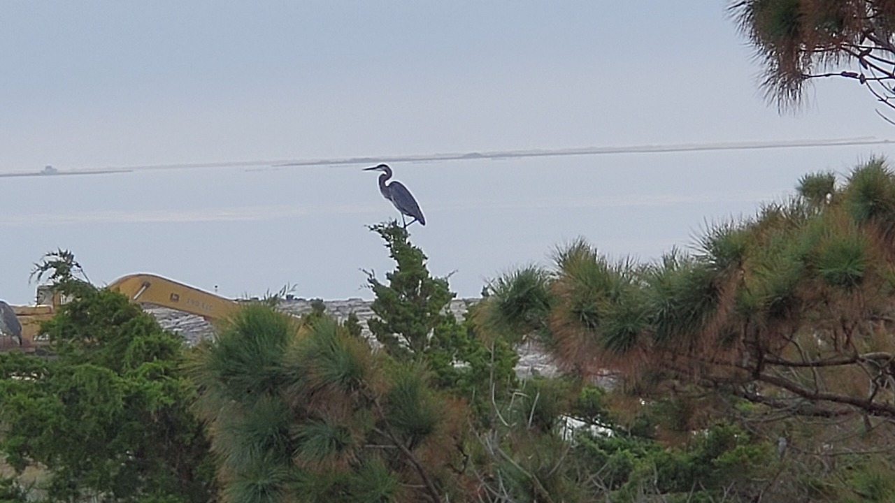 Photo of Others in Atlantic