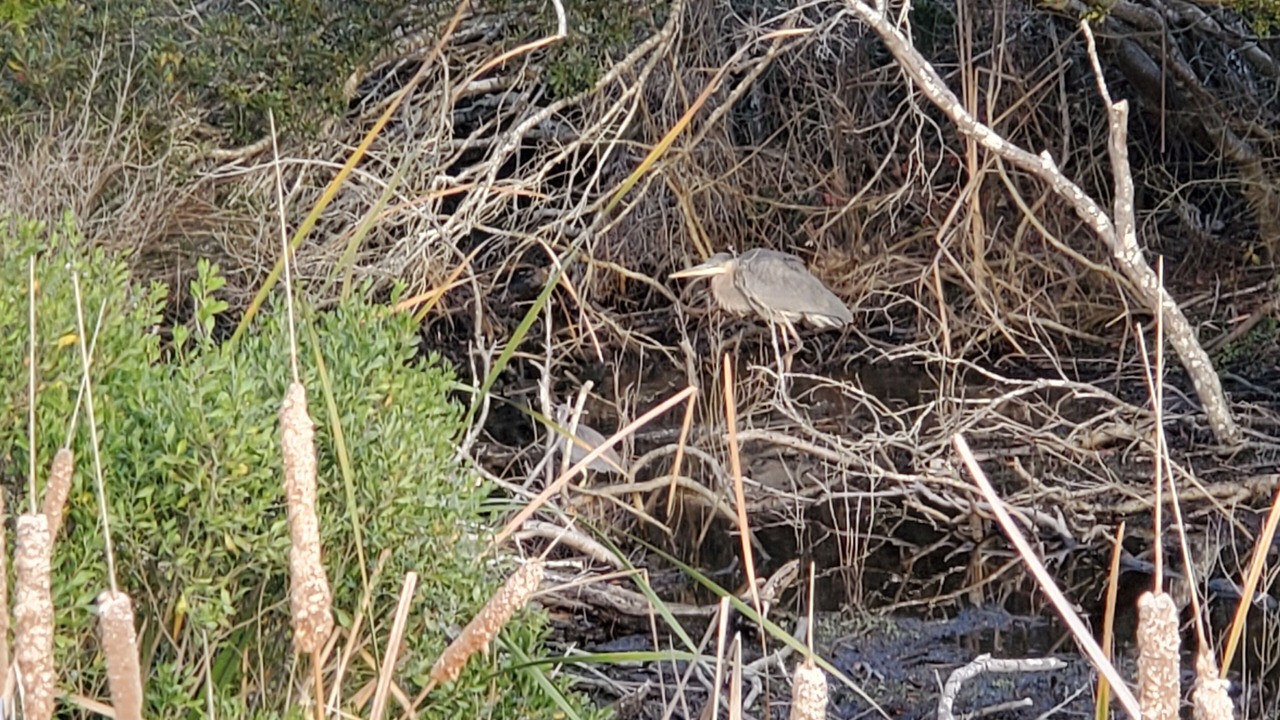 Photo of Outdoor in Atlantic