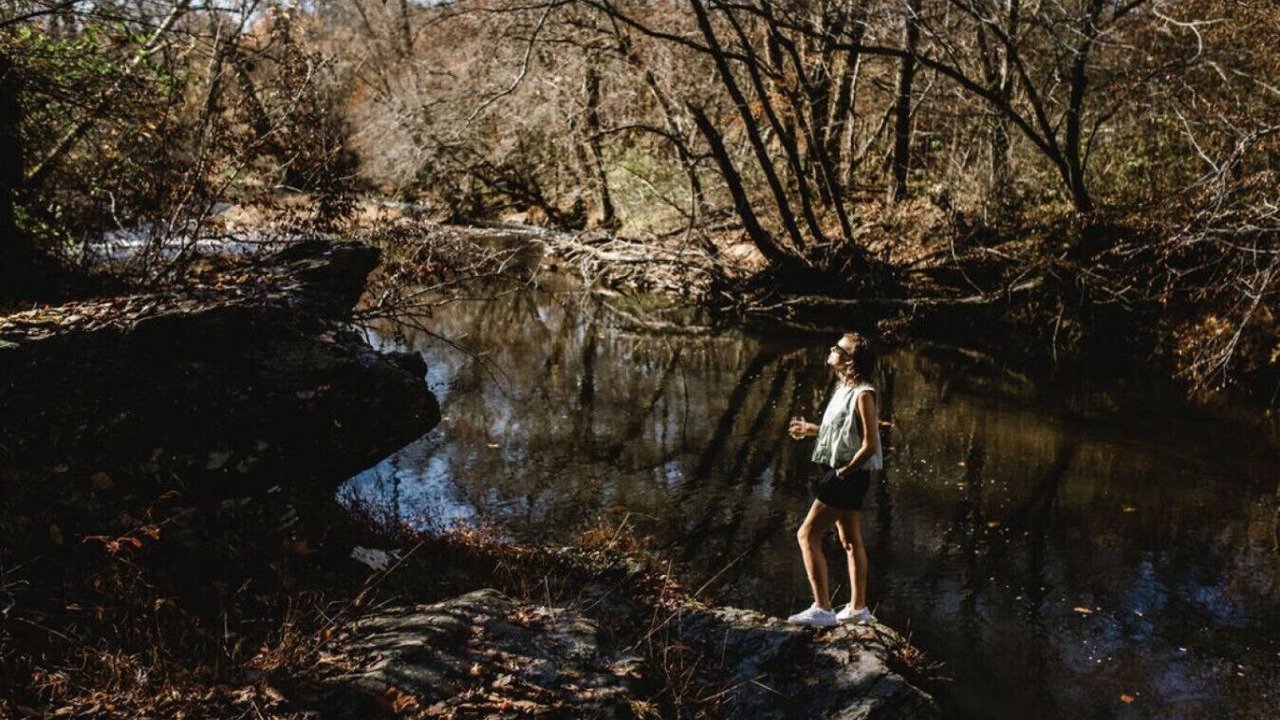 Photo of Others in Mount Airy
