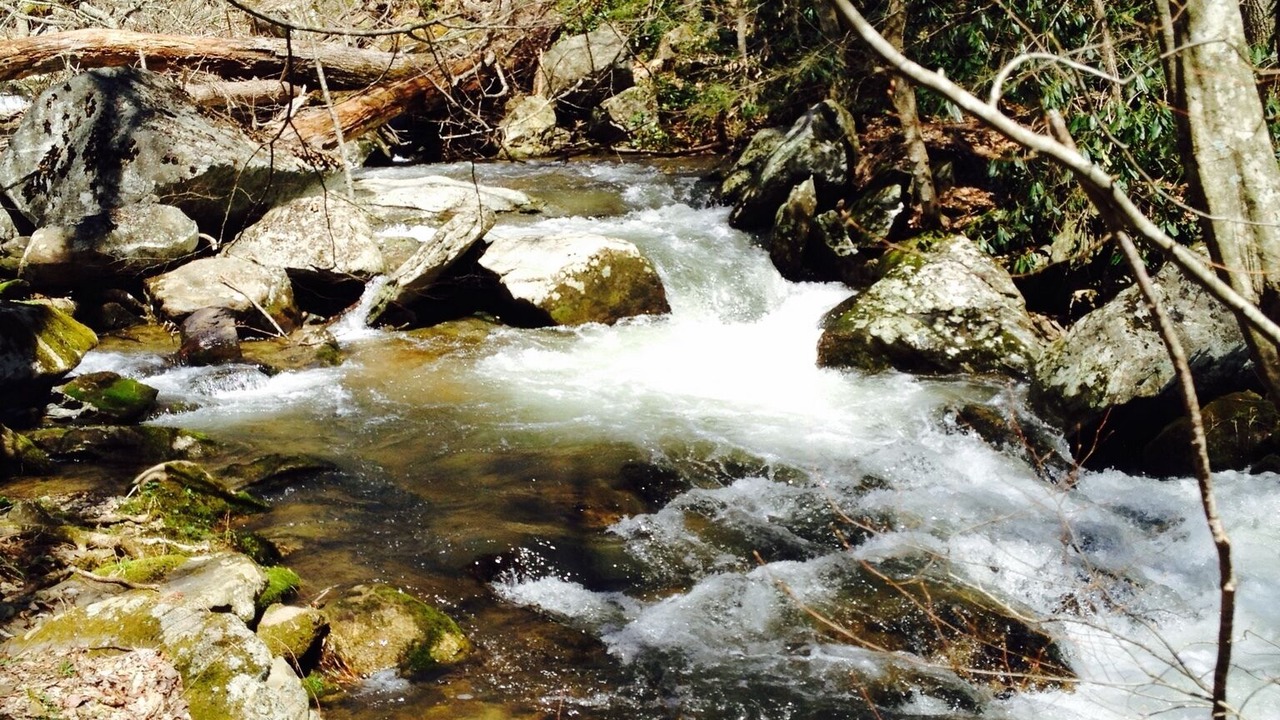 Photo of Others in Hot Springs
