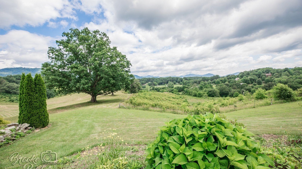 Photo of Outdoor in Canton
