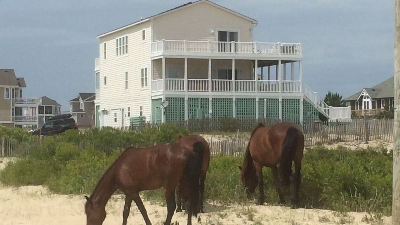 Photo of Others in Corolla