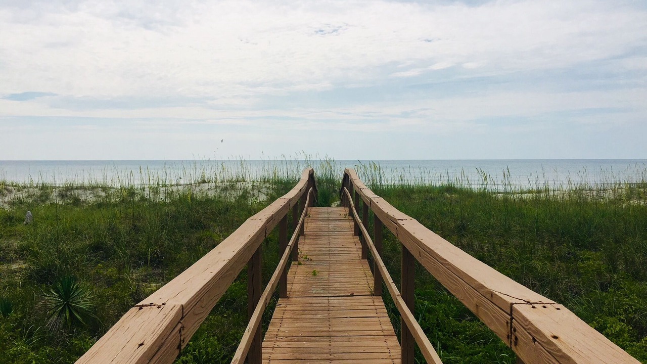 Photo of Others in North Carolina Coast
