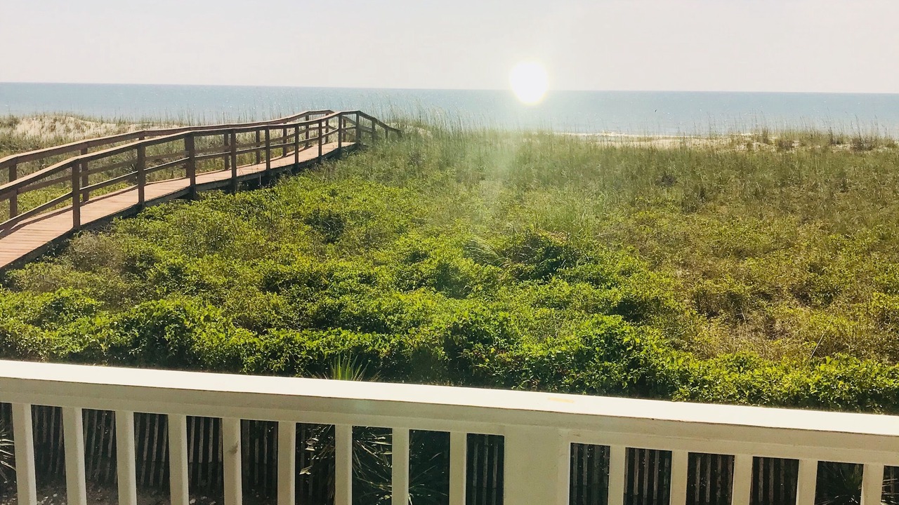 Photo of Others in North Carolina Coast