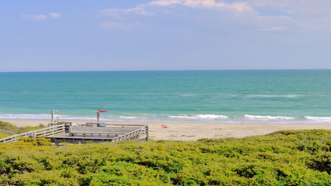 Photo of Others in Indian Beach