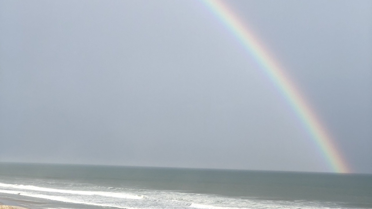 Photo of Others in Indian Beach