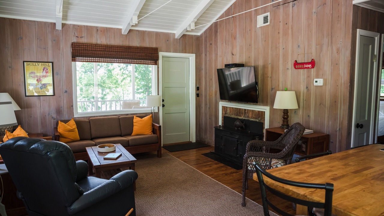 Photo of Livingroom in Steele Creek