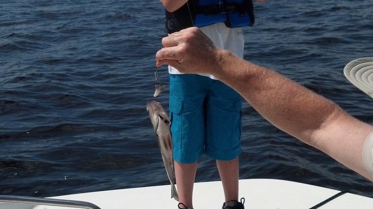 Photo of Others in Lake Waccamaw