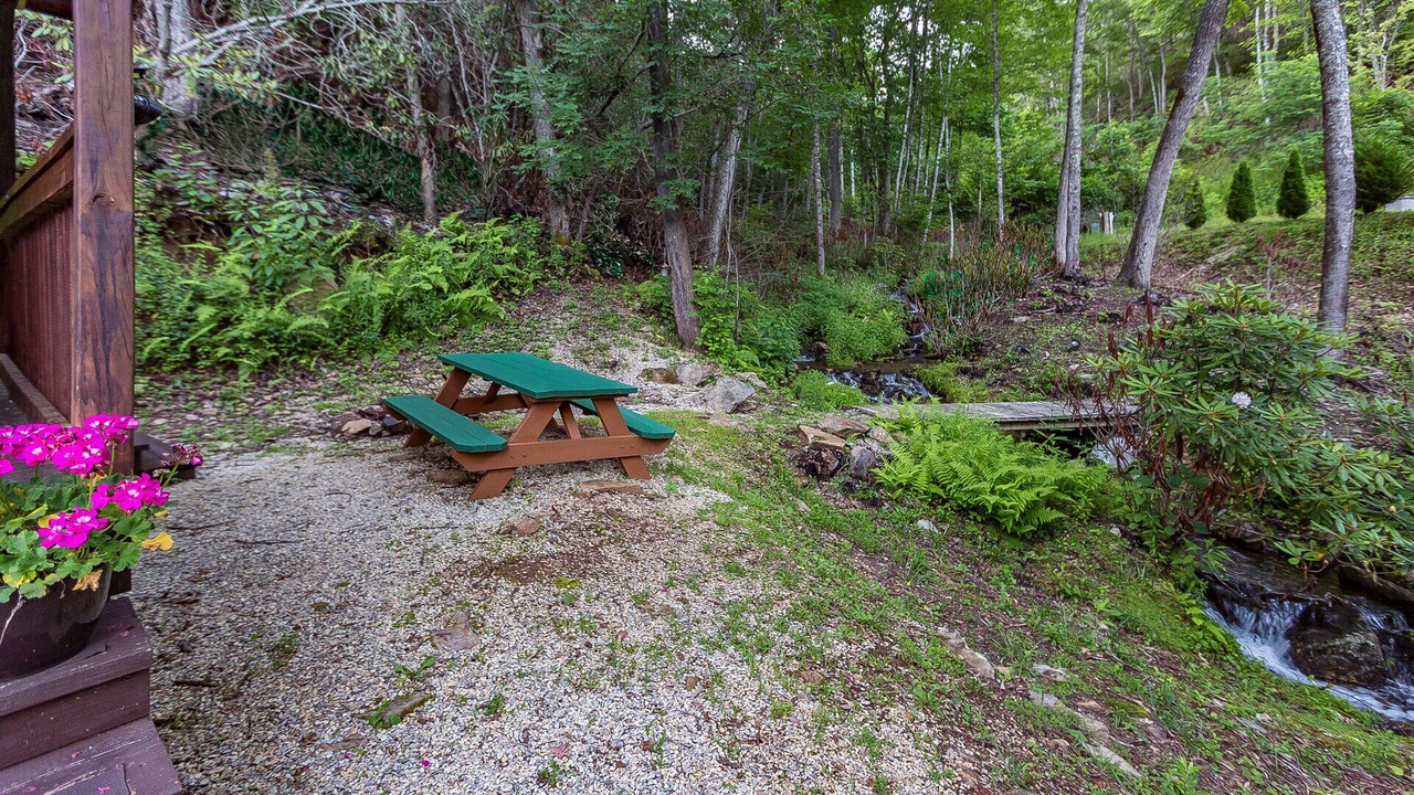 Photo of Outdoor in Topton