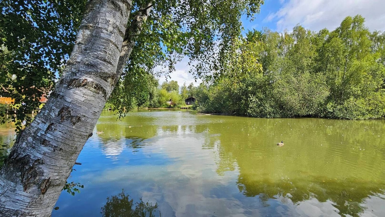 Photo of Outdoor in Tattershall
