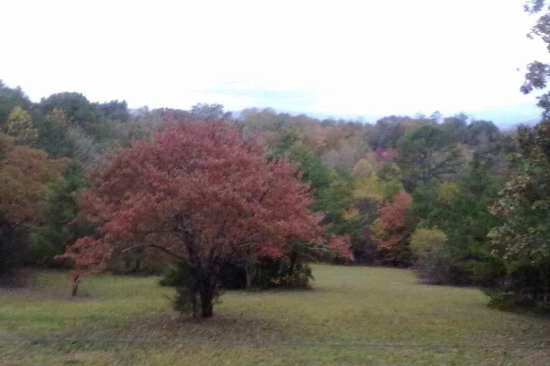 Photo of Outdoor in Franklin