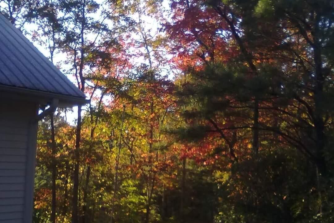 Photo of Outdoor in Franklin