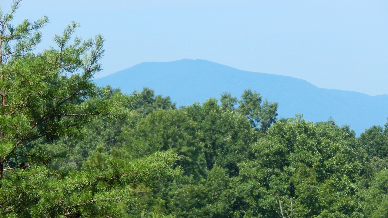 Photo of Others in Franklin