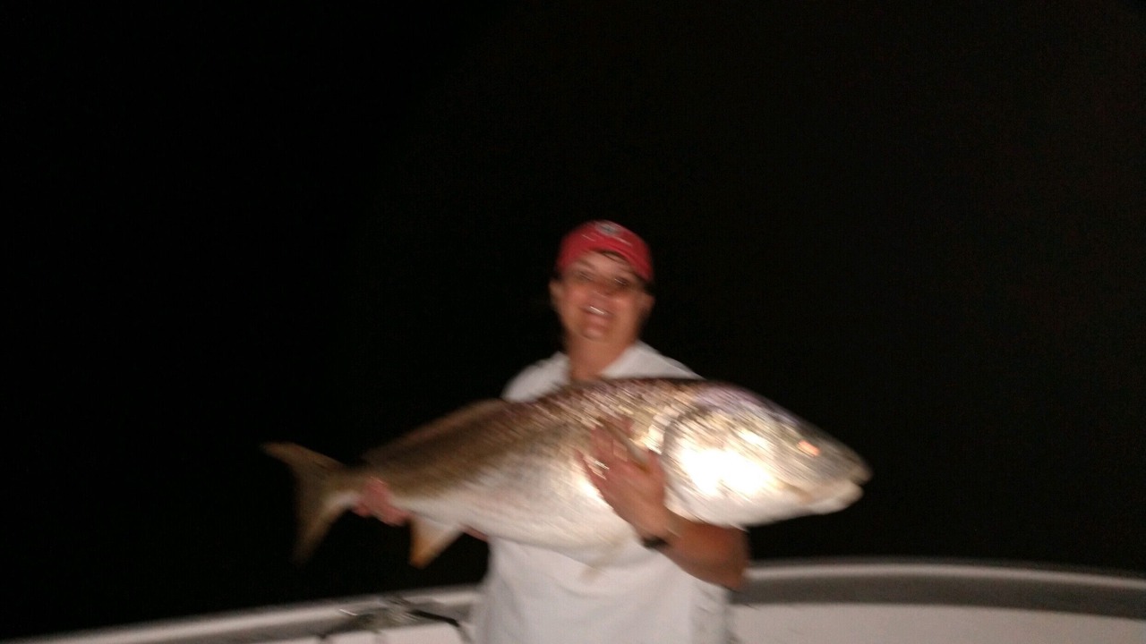 Photo of Others in Cedar Island