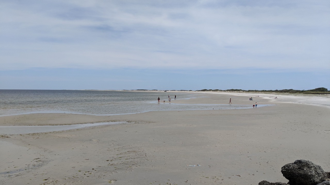 Photo of Others in Cedar Island