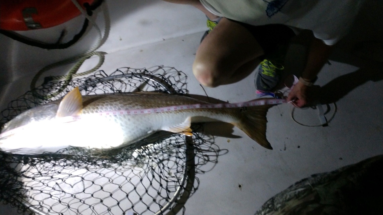 Photo of Others in Cedar Island