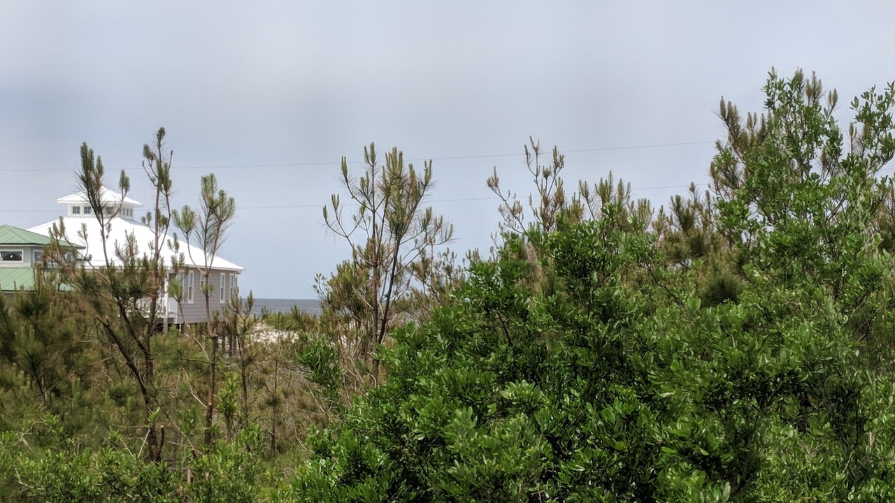 Photo of Outdoor in Cedar Island