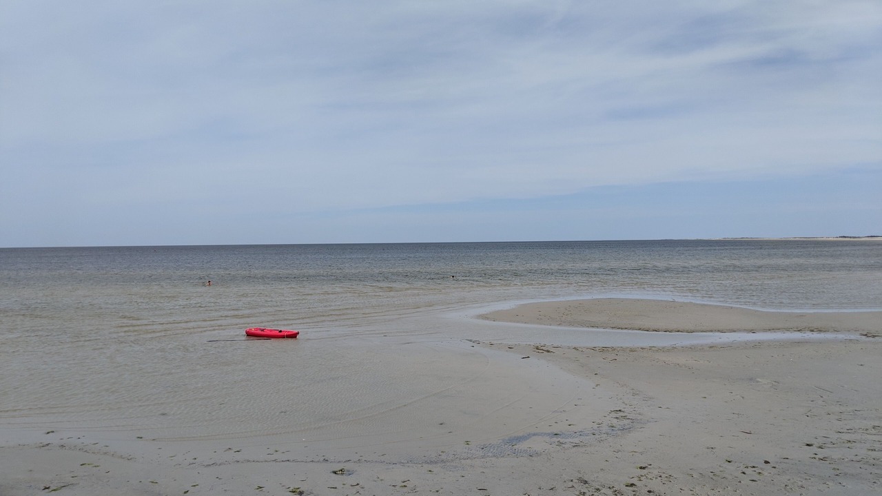 Photo of Others in Cedar Island