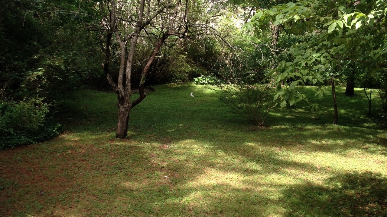 Photo of Others in Brevard