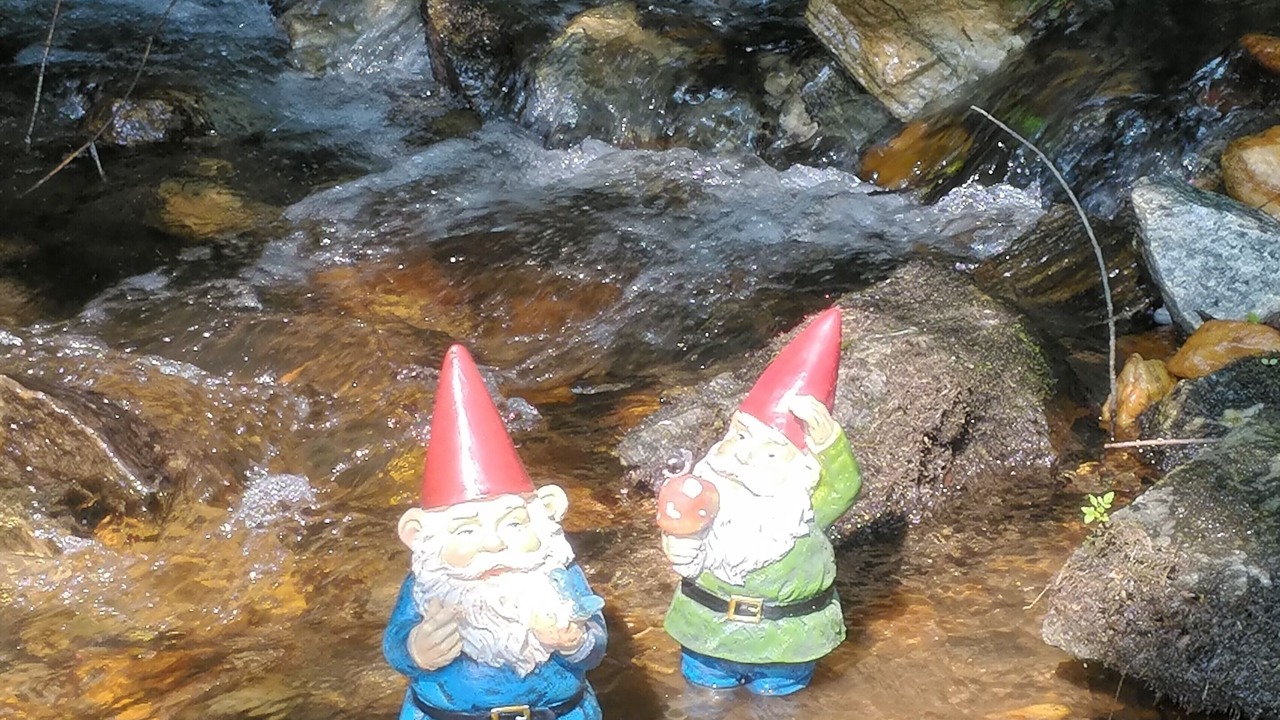Photo of Others in Balsam Grove