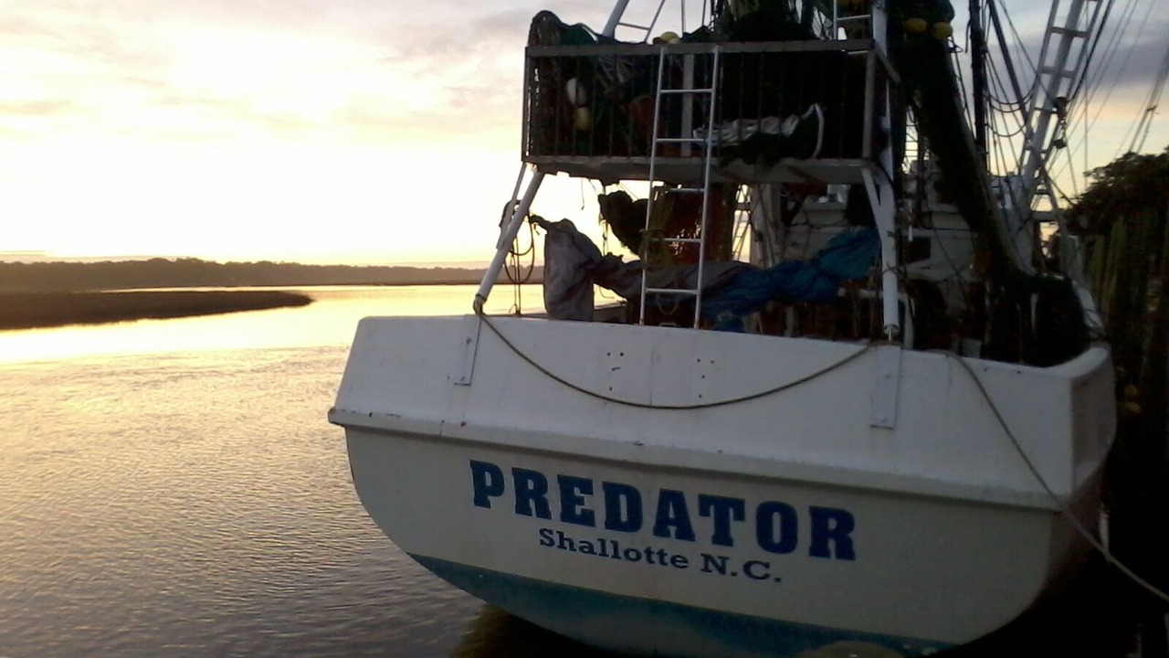 Photo of Others in Shallotte