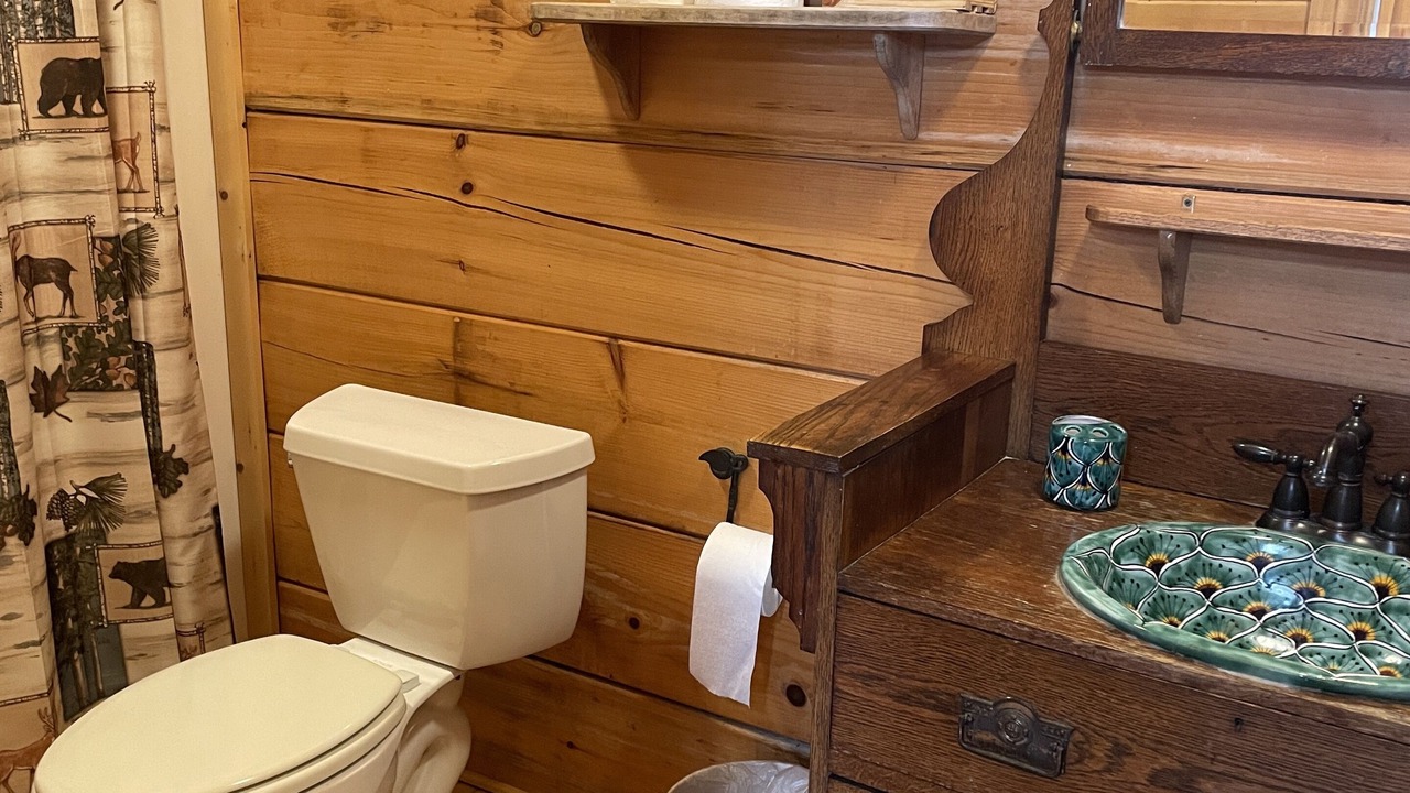 Photo of Bathroom in Topton