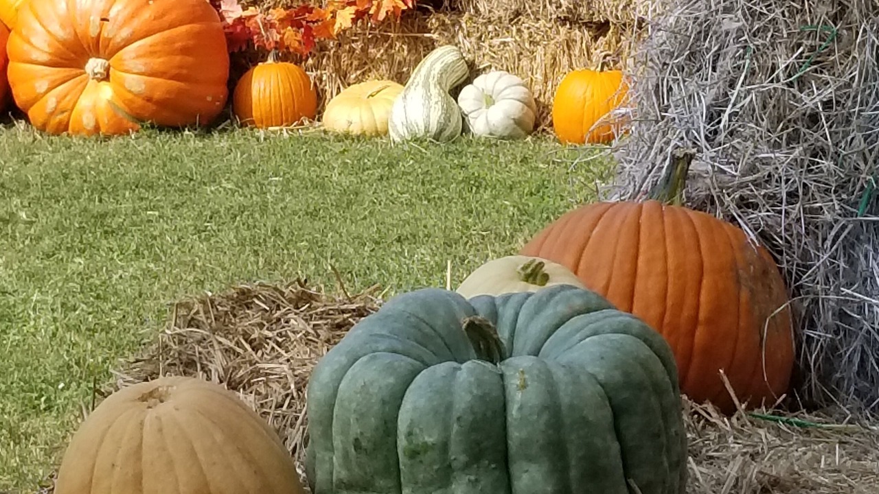 Photo of Others in Franklin