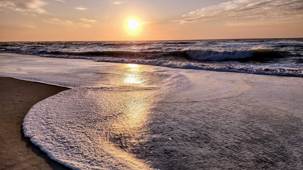 Photo of Others in North Carolina Coast